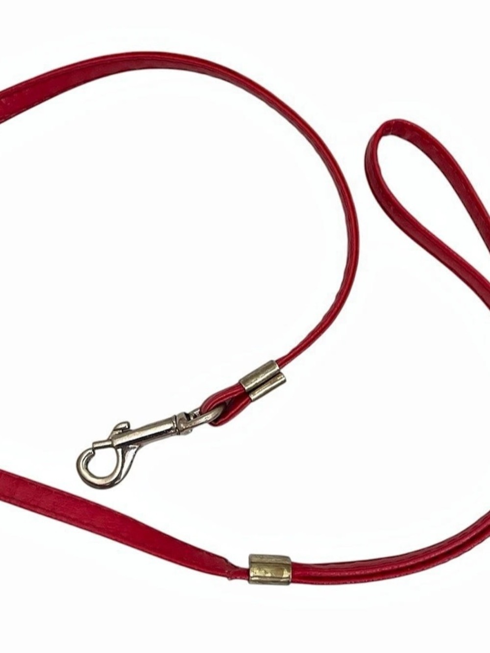 Red Dog Leash
